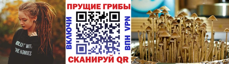 Галлюциногенные грибы мицелий  Курлово 